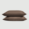 Eucalyptus Lyocell Pillowcase Set